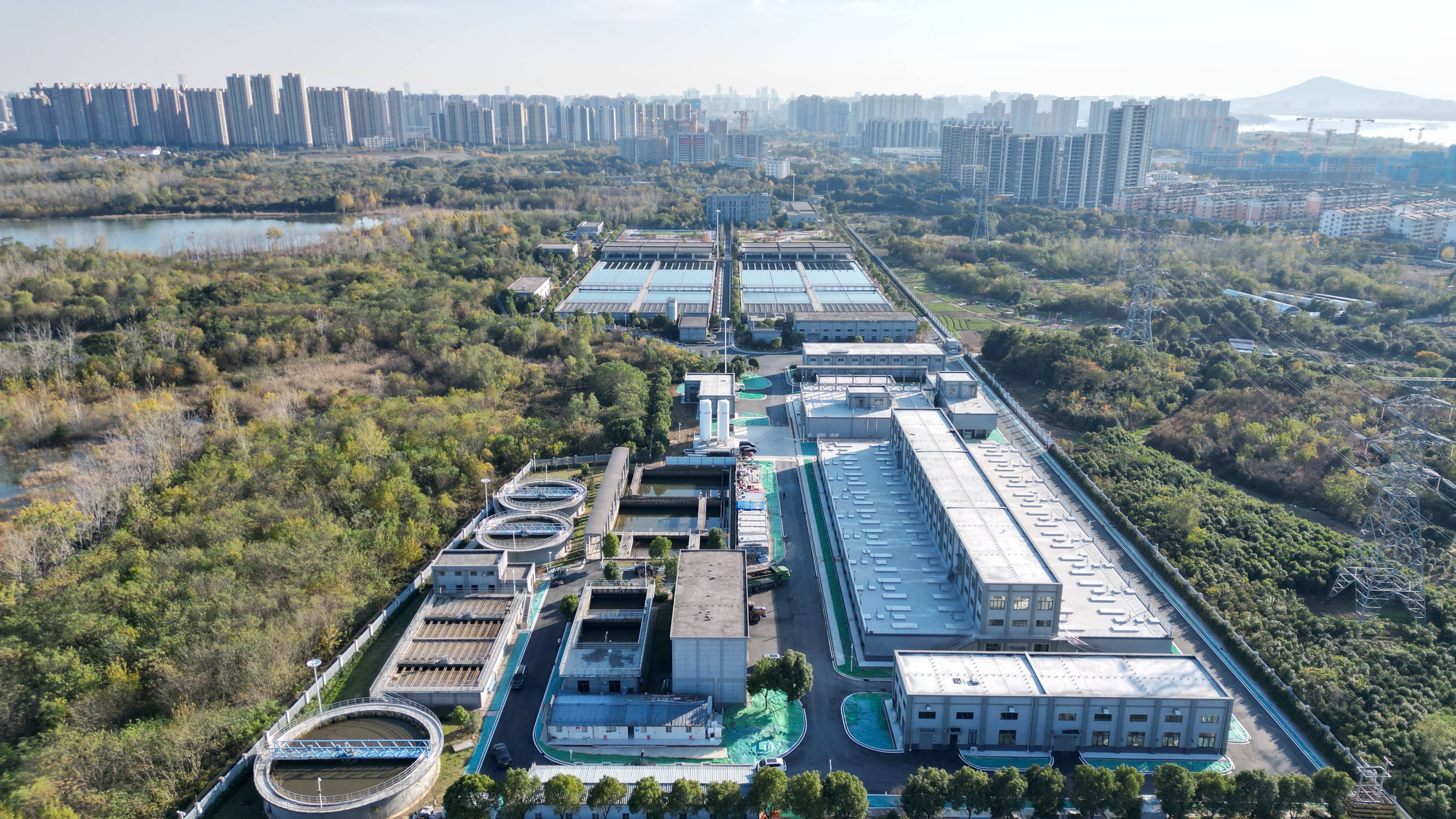 石河子市合肥专业企业价值增长(合肥市重点企业产业目录)