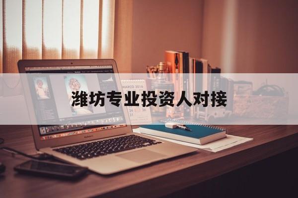 石河子市潍坊专业投资人对接(潍坊专业投资人对接中心)
