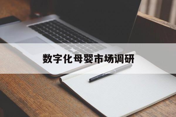 石河子市数字化母婴市场调研(数字化母婴市场调研报告)